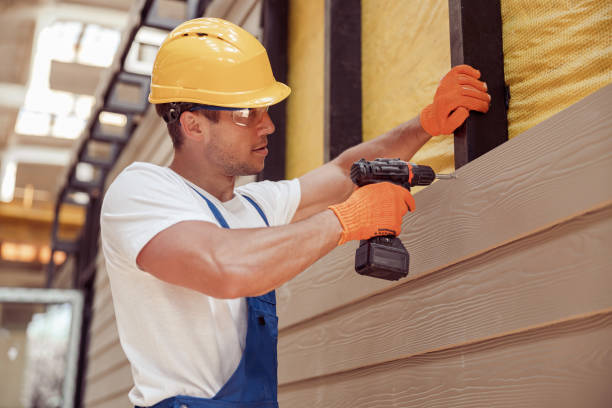 Best Siding Painting and Refinishing  in Ceres, CA